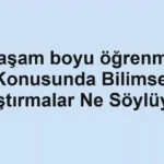 yasam-boyu-ogrenme-konusunda-bilimsel-arastirmalar-ne-soyluyor.webp